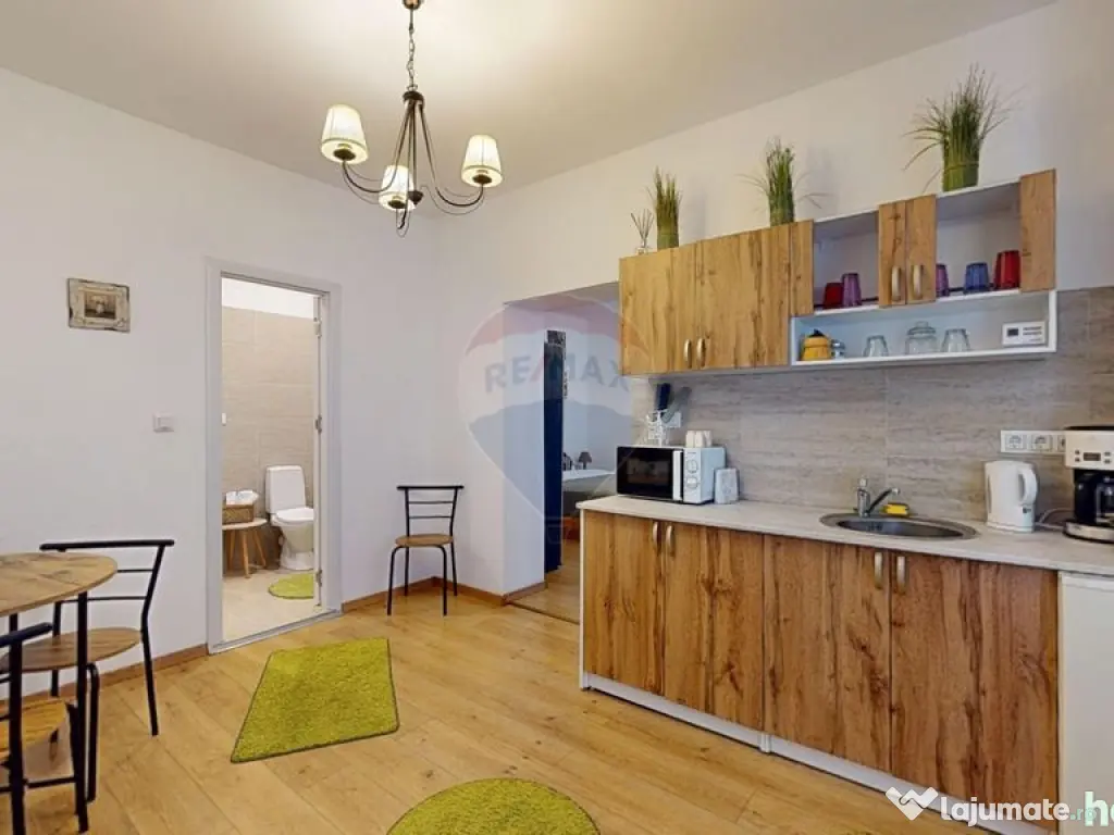 Garsoniera mobilata si utilata Centrul Istoric, Str Repub... 