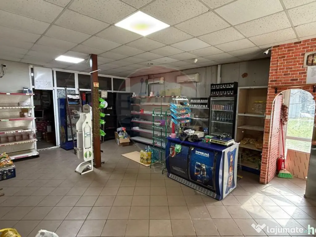 Spațiu comercial Sud 