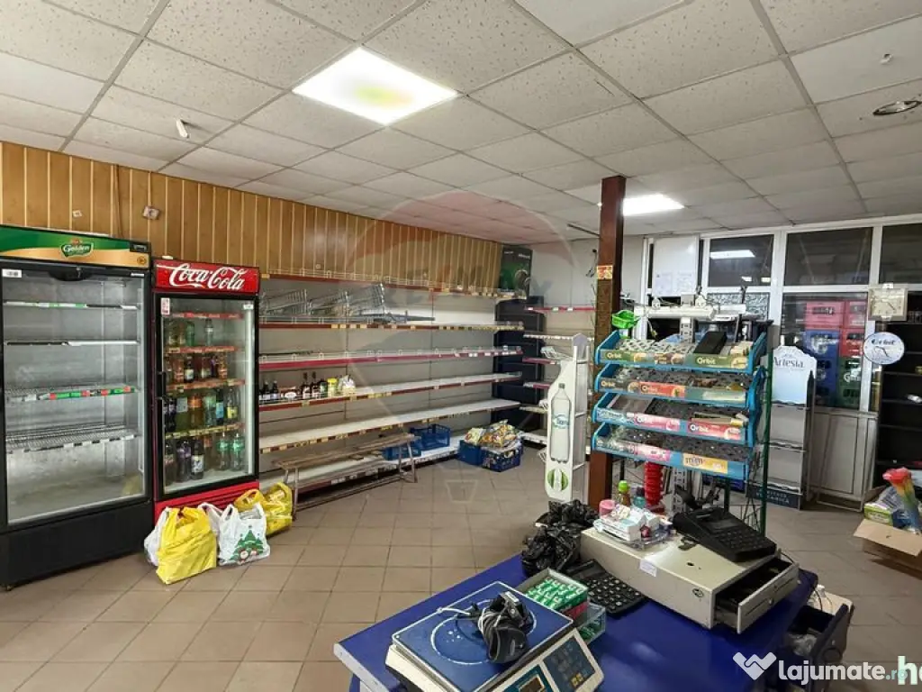 Spațiu comercial Sud 