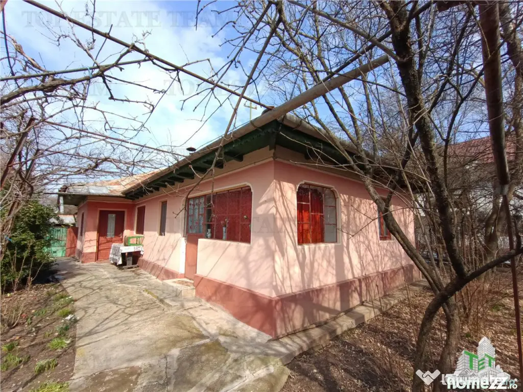 Casa taraneasca traditionala pe parter cu gradina si livada 