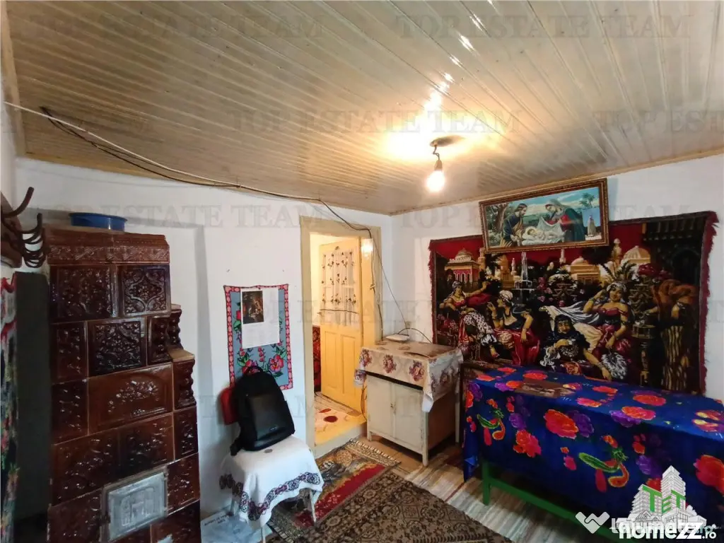 Casa taraneasca traditionala pe parter cu gradina si livada 