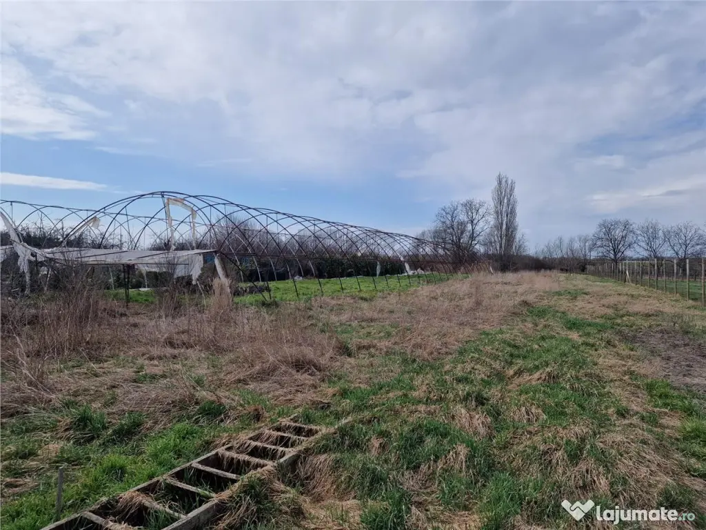 Casa de demolat cu teren mare in Bors 
