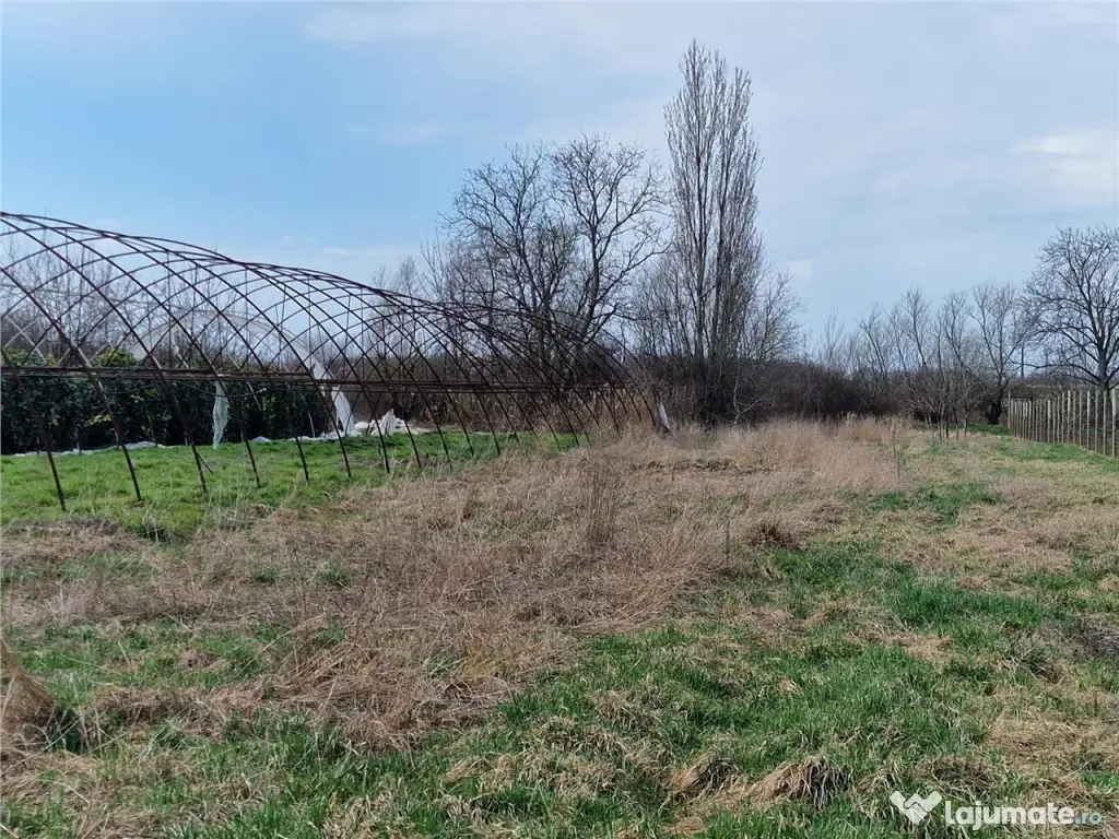 Casa de demolat cu teren mare in Bors 