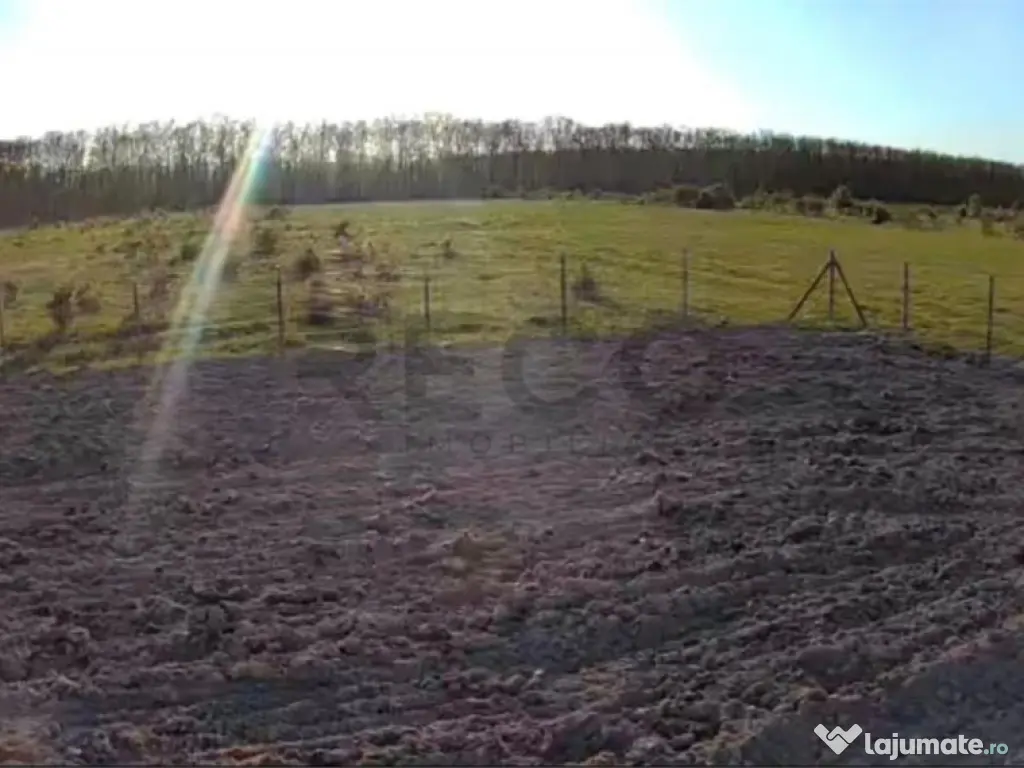 Teren Intravilan de Pausa, Bihor ,14 km de Oradea 