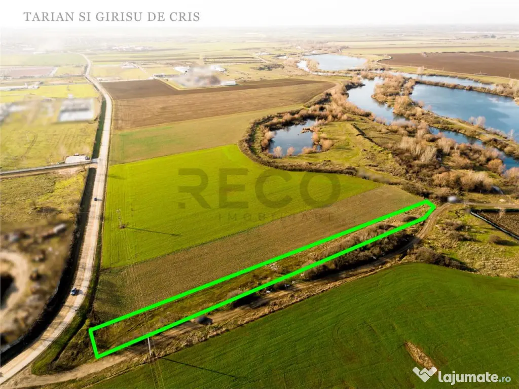 RECO Teren extravilan 2500mp in Palota 