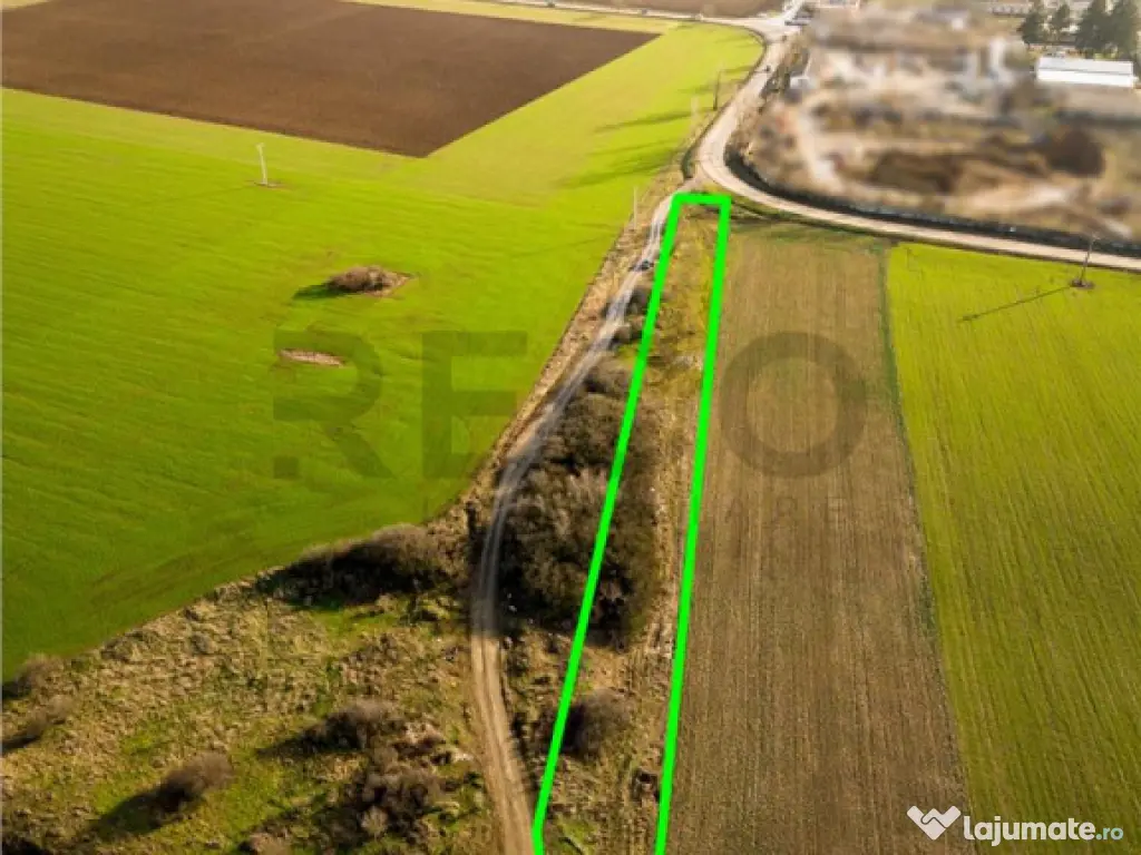 RECO Teren extravilan 2500mp in Palota 