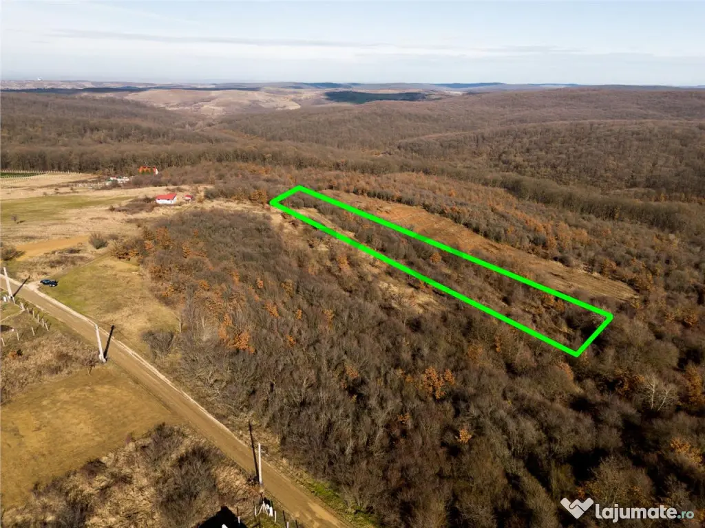 Reco Teren ideal pentru investitii- Saldabagiu de Munte 