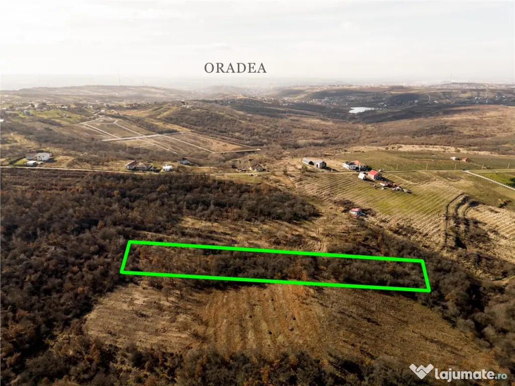 Reco Teren ideal pentru investitii- Saldabagiu de Munte 