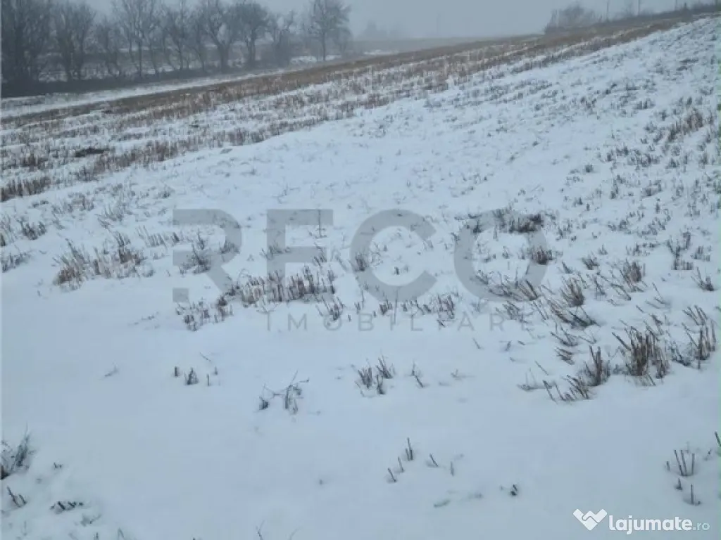 RECO, teren extravilan, Zona Sinteu, Bihor 