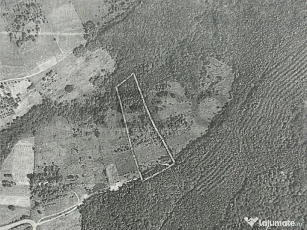 RECO, teren extravilan, Zona Sinteu, Bihor 