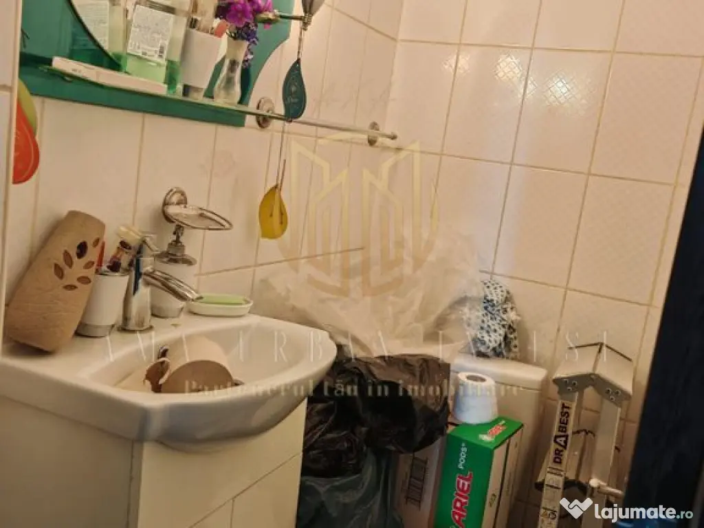 Teiul Doamnei Otesani 3 camere 72mp 1983 , 135000eur 