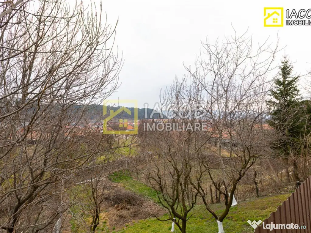 Casa, anexe, 3782 mp teren, 25000 mp padure, Comanesti, jud. 