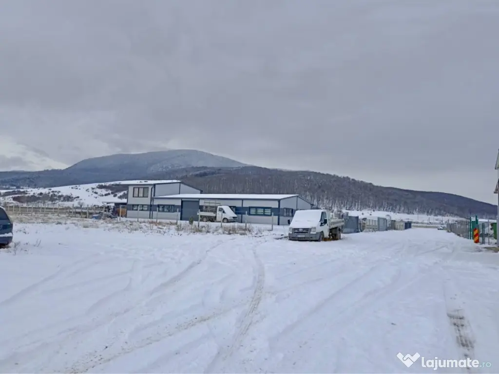 VANZARE Teren Industrial Codlea - PUZ Hale/Service 1850mp