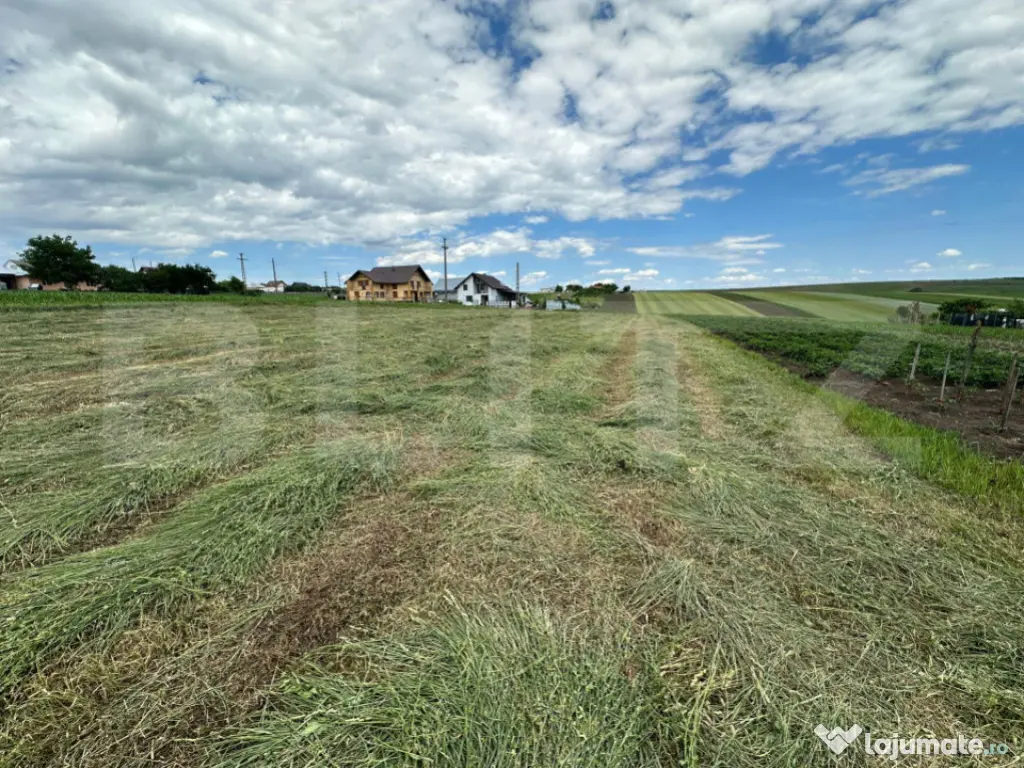 Teren Intravilan , pretabil casa/case , 2000 mp , zona Moar 