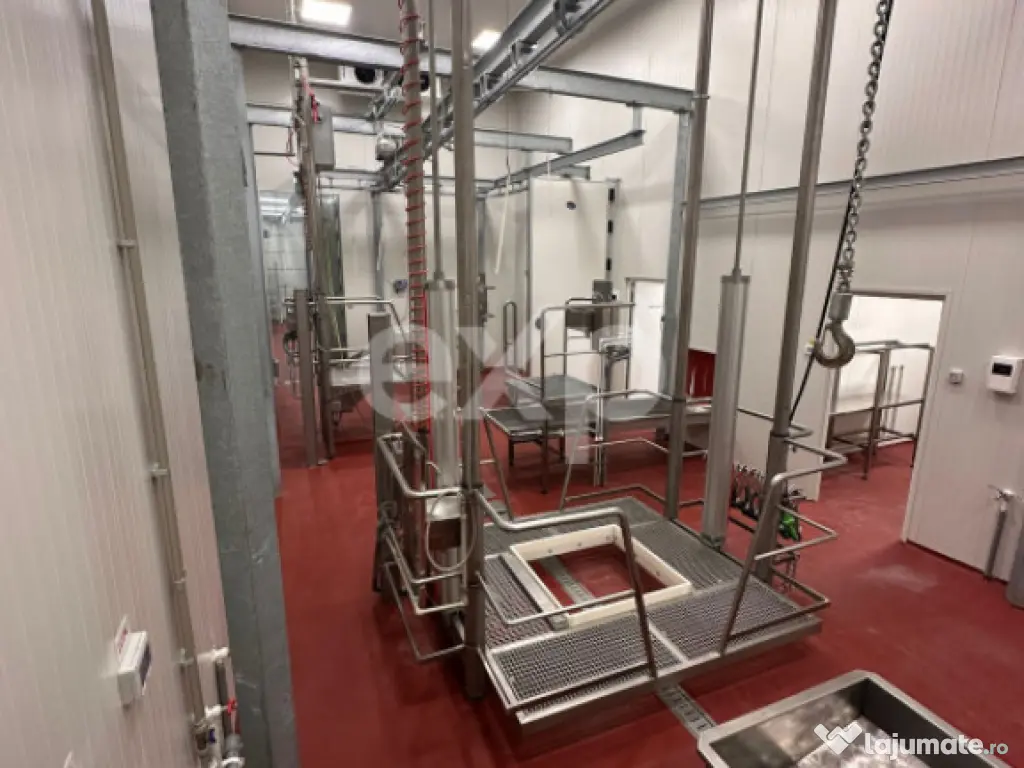 Ferma cu abator autorizat | Singureni Giurgiu 