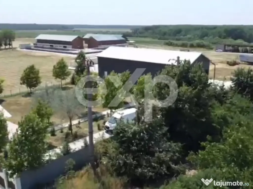 Ferma cu abator autorizat | Singureni Giurgiu 