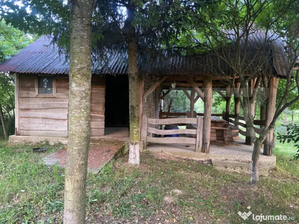 Vilă deosebită cu 30 ari teren și facilități complete ? 