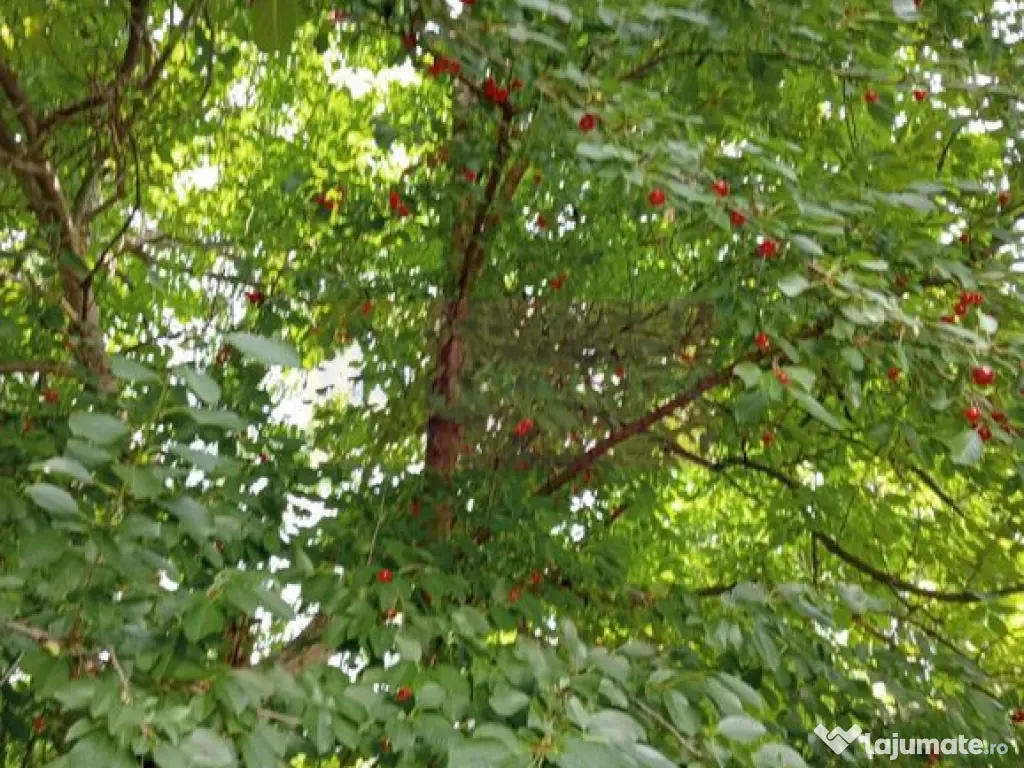 Casa demolabilă cu teren de vanzare in Breaza