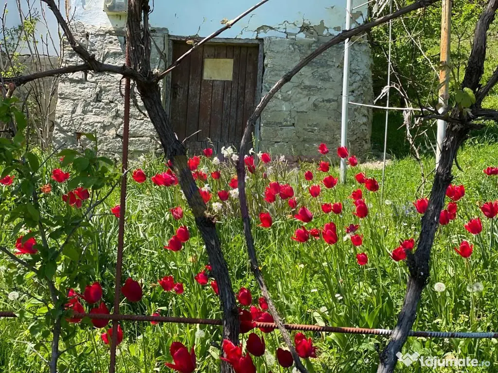 Casa demolabilă cu teren de vanzare in Breaza