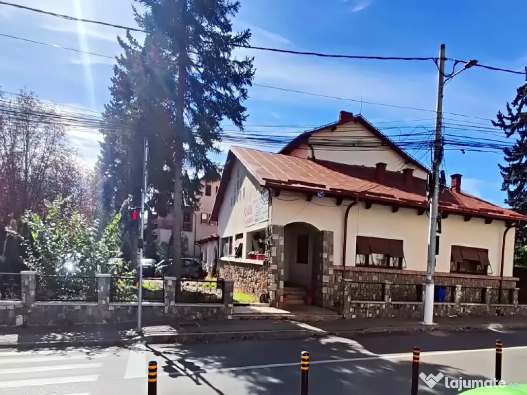 Spatiu comercial ultracentral, in Campina, PH, Parc central Milia, Bdul Carol I 