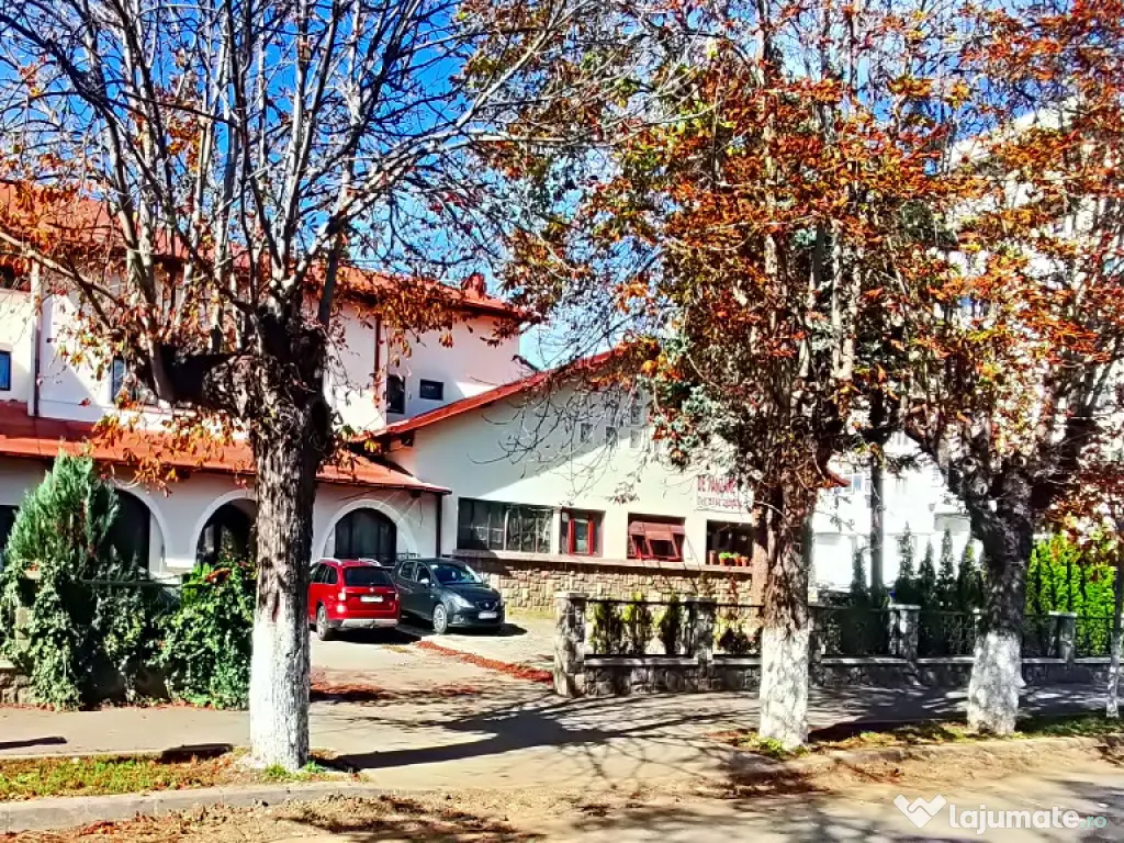 Spatiu comercial ultracentral, in Campina, PH, Parc central Milia, Bdul Carol I 