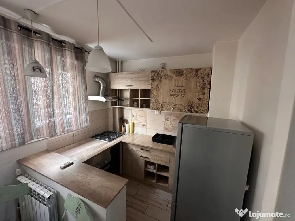 Iancului elev stefanescu parter