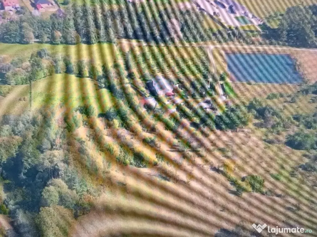 Domeniu privat 6 hectare lac păstrăvărie | Vilă 6 dormitoare Corbi