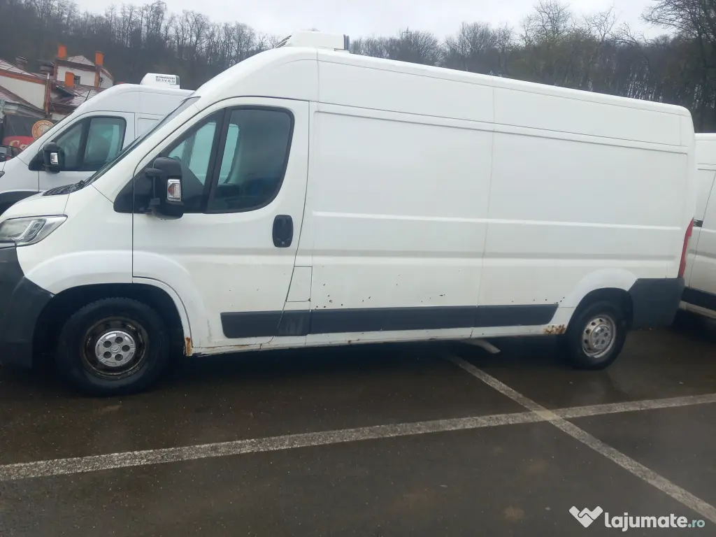 Autoutilitare frigorifice 