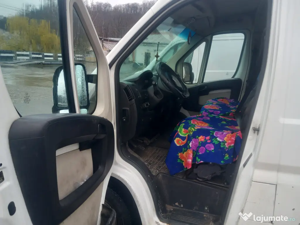 Autoutilitare frigorifice 