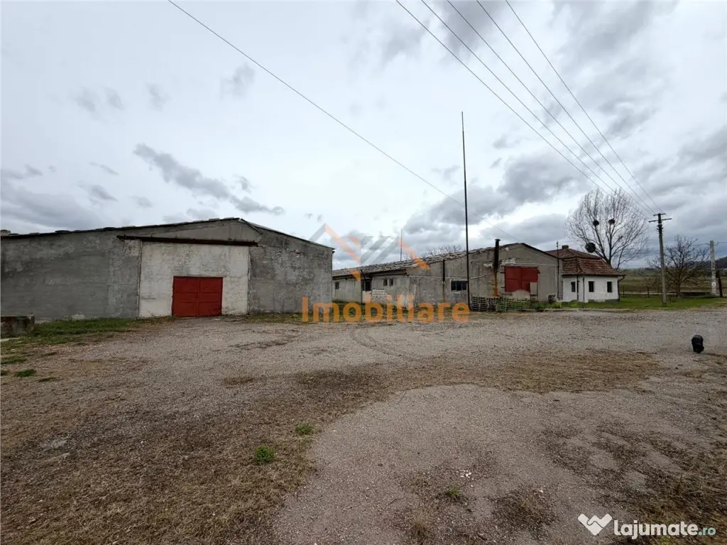 HALE INDUSTRIALE | CLADIRE BIROURI | TEREN 7000 MP | GHEGHIE