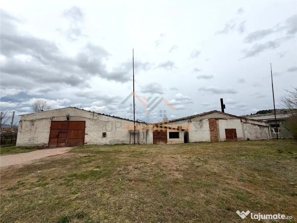 HALE INDUSTRIALE | CLADIRE BIROURI | TEREN 7000 MP | GHEGHIE