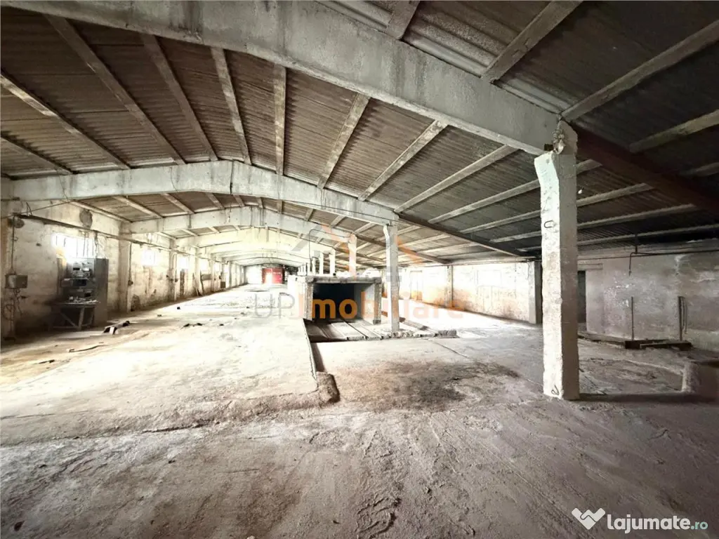 HALE INDUSTRIALE | CLADIRE BIROURI | TEREN 7000 MP | GHEGHIE