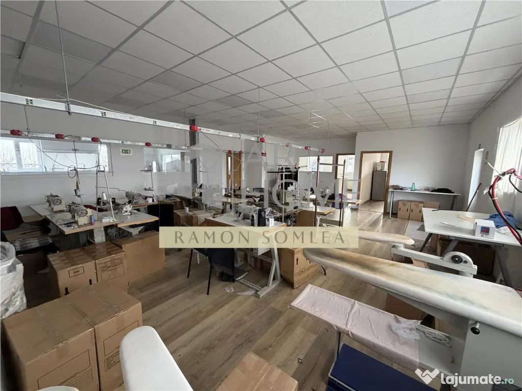 Hala si teren industrial in Paulestii noi , Prahova 