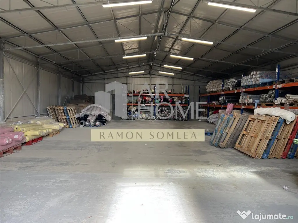 Hala si teren industrial in Paulestii noi , Prahova 
