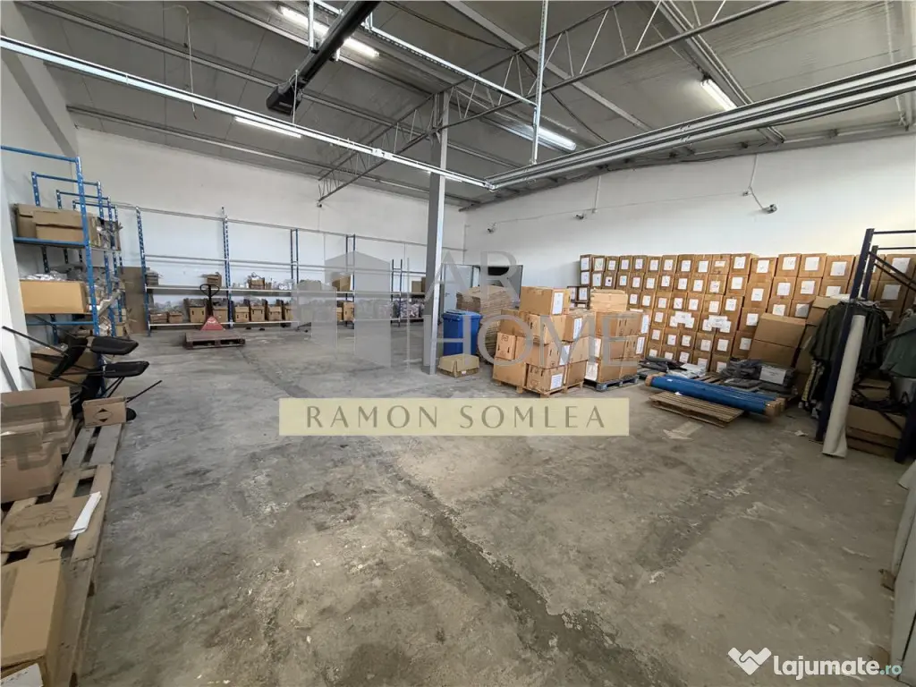 Hala si teren industrial in Paulestii noi , Prahova 