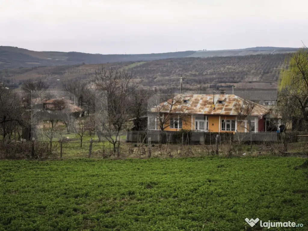Casa Comarna cu 3500 mp teren la asfalt