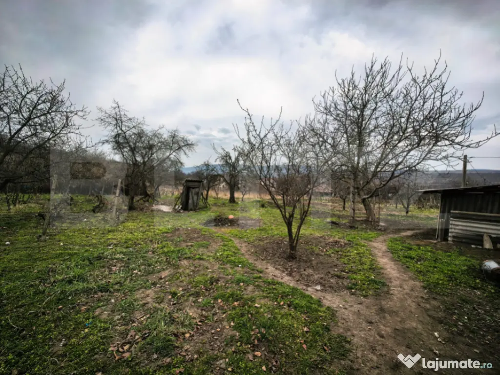 Casa Comarna cu 3500 mp teren la asfalt