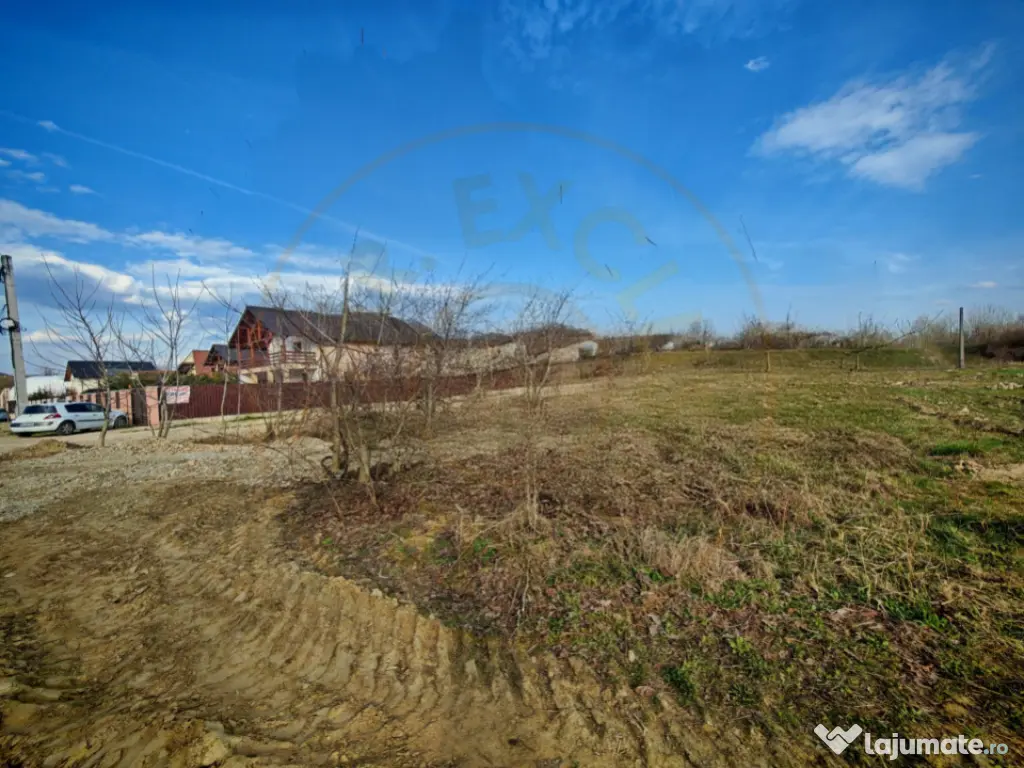 Teren intravilan 2270 mp cu deschidere 24 m – Pitesti, Str 