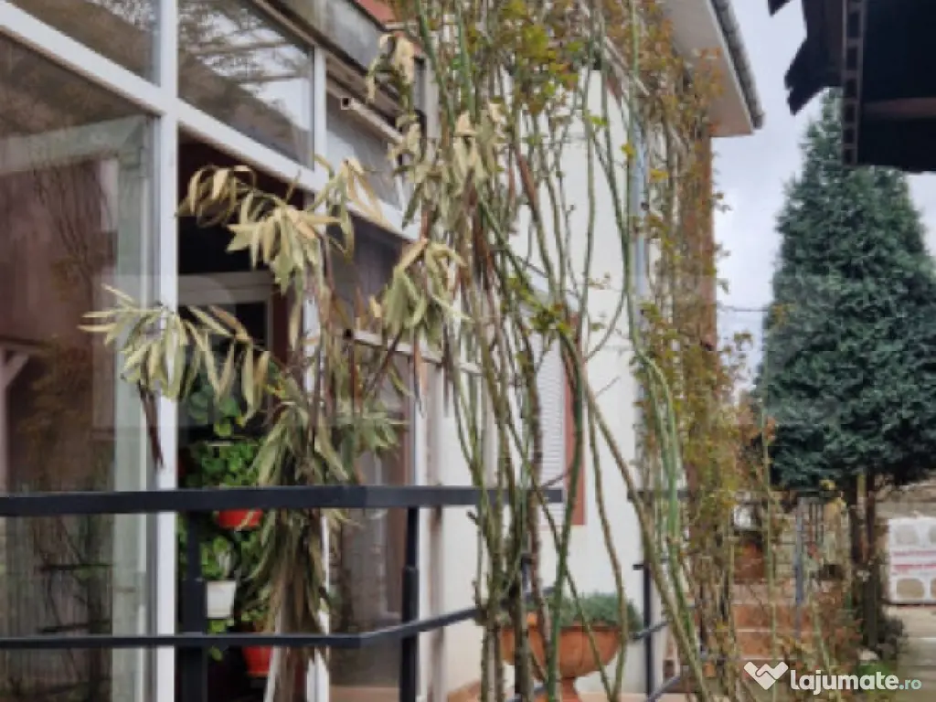 Casa individuala P+M, 200mp , teren 486 mp, Simnicul de Jos 