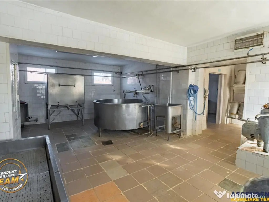 Fabrica de produse lactate birouri 1.300mp teren, Ilieni, 