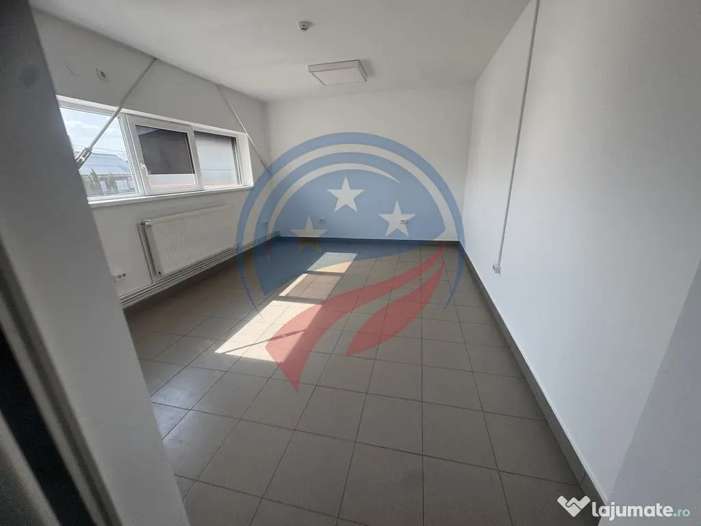 Hala in zona FORD 300-600 mp 