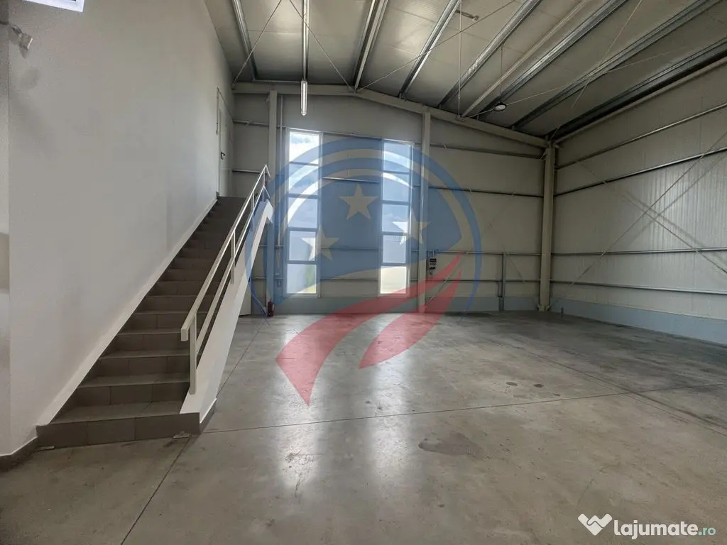 Hala in zona FORD 300-600 mp 