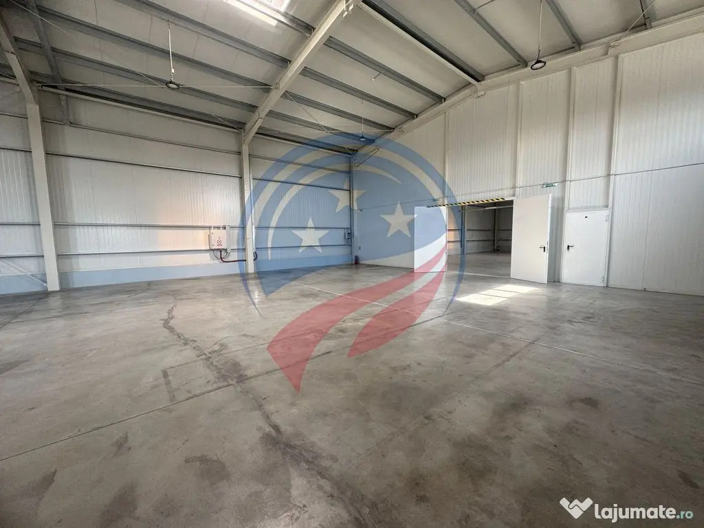 Hala in zona FORD 300-600 mp 