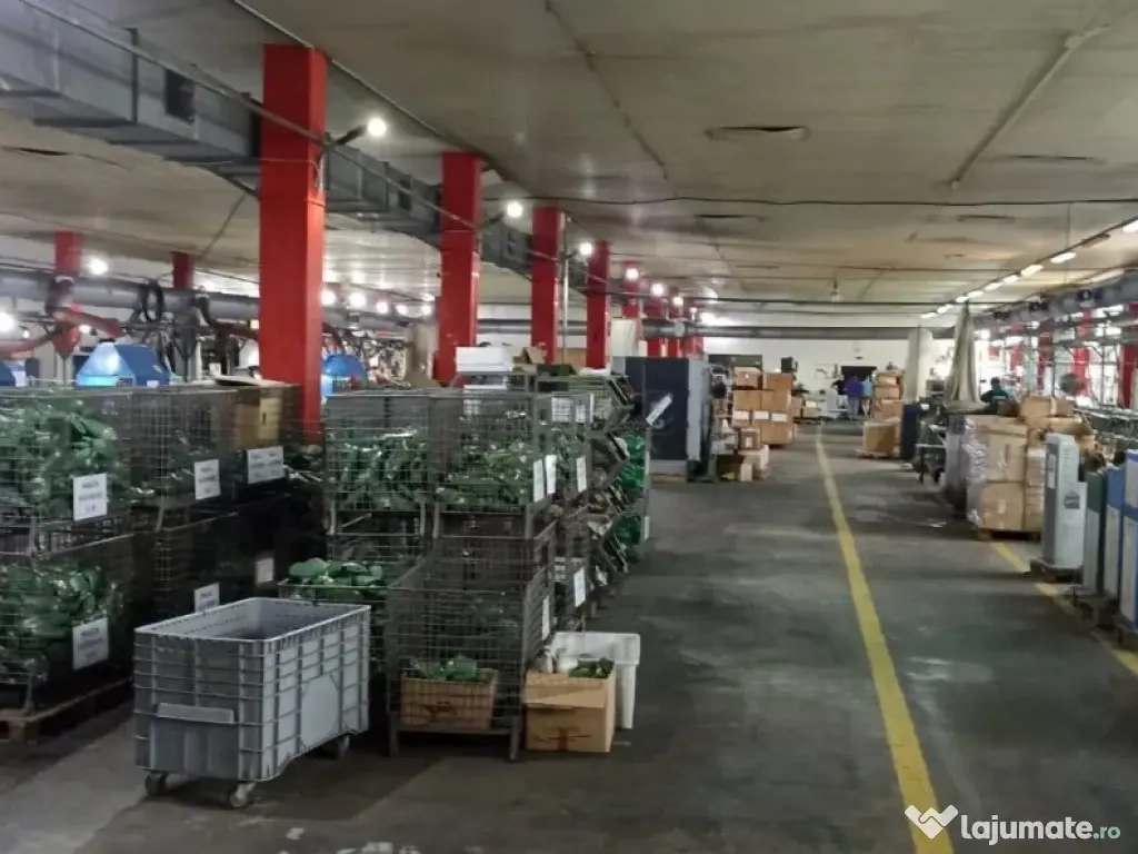 Inchiriez complex comercial in Husi, Jud. Vaslui ID:RH-44580-property 