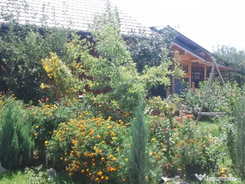 Intravilan 572 mp , loc de casa , zona padure Baicoi Prahova 