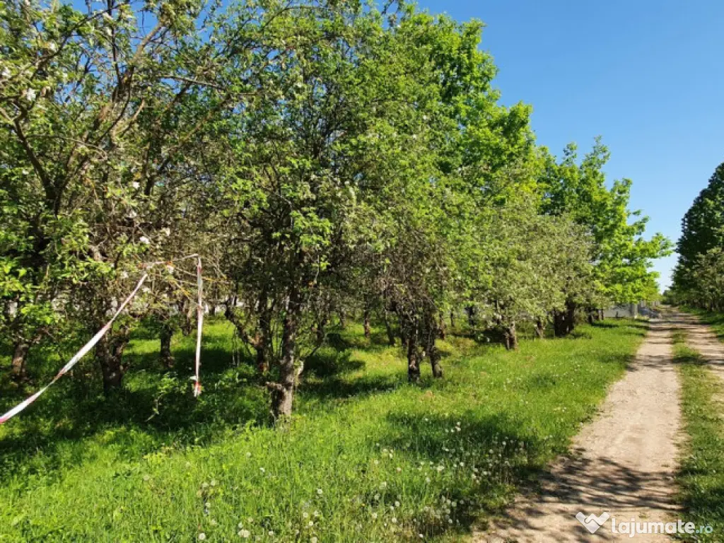 Intravilan 572 mp , loc de casa , zona padure Baicoi Prahova 