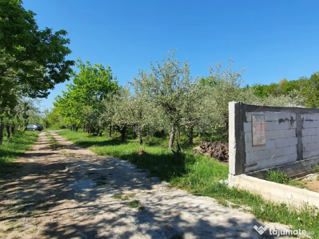 Intravilan 572 mp , loc de casa , zona padure Baicoi Prahova 