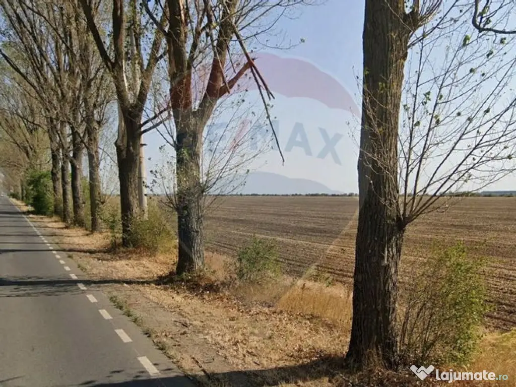 Teren industrial 7.9 ha, Afumati, deschidere 120m, Soseau... 