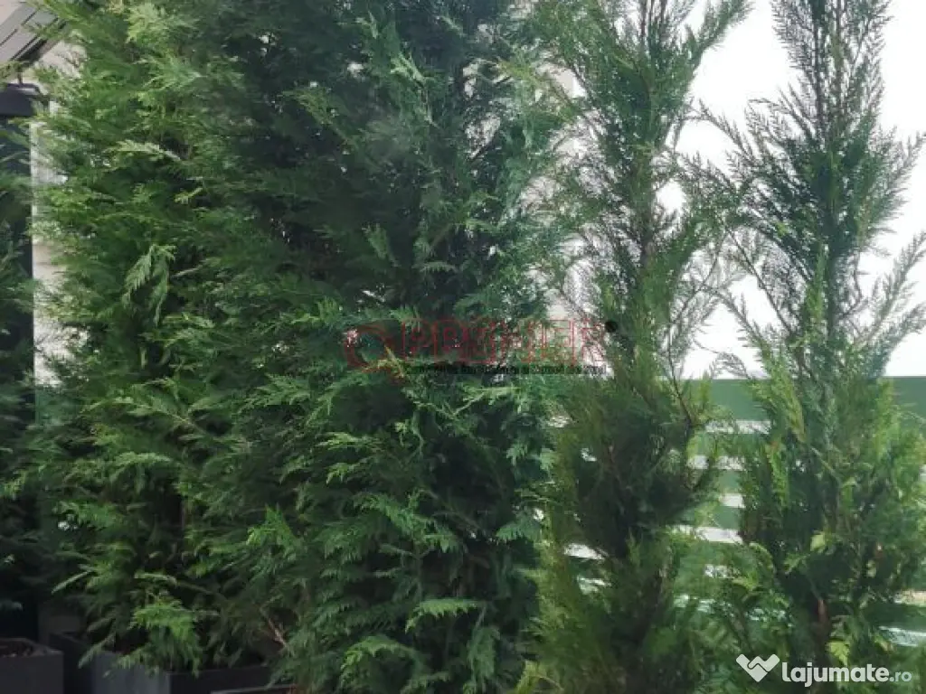 Titan - 3 camere cu terasa mobilat 