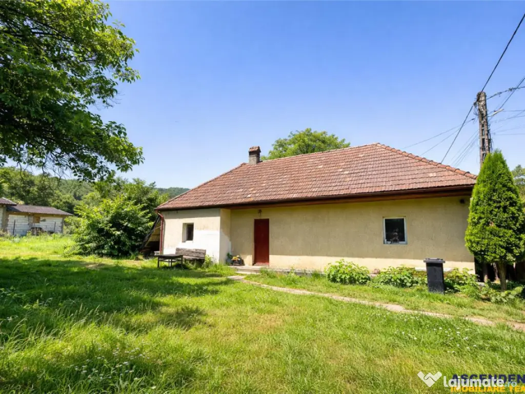 FILM Tur 3D! Casa cu gradina, pomi fructiferi, fantana, Zago 